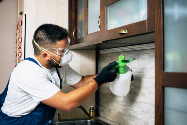 Best Pest Control for Homes  in Center Point, TX