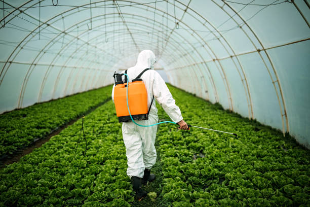 Best Pest Removal Services  in Center Point, TX