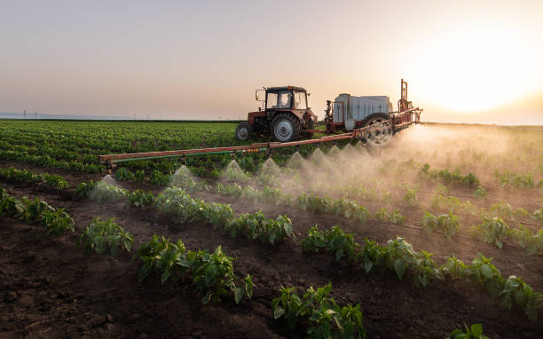 Best Pest Inspection Near Me  in Center Point, TX