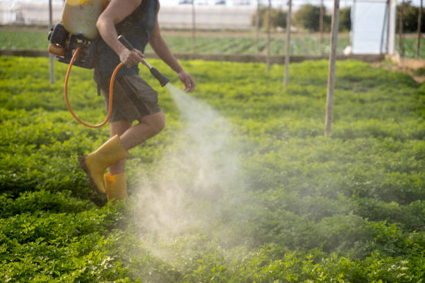 Best Best Pest Control Companies  in Center Point, TX