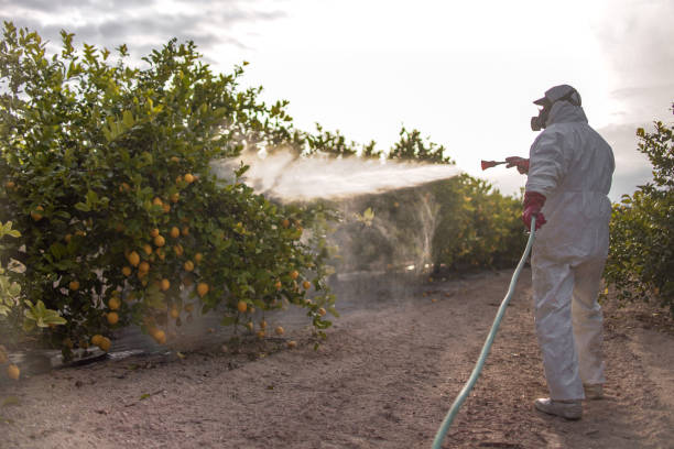 Best Pest Removal Services  in Center Point, TX
