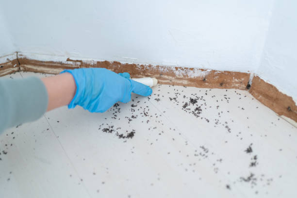  Center Point, TX Pest Control Pros